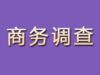 阳谷商务调查